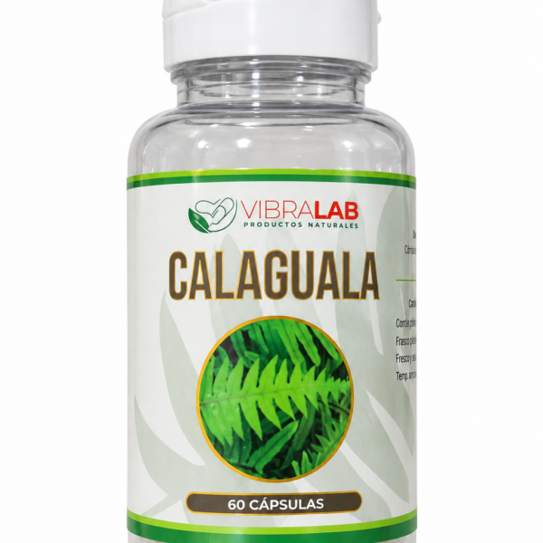 CALAGUALA VIBRALAB