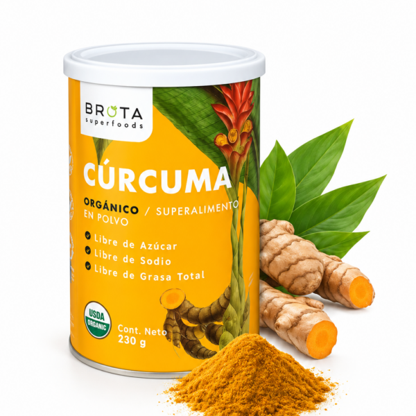 CURCUMA ORGANICA 230 GR POLVO BROTA