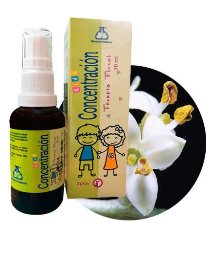 CONCENTRACION KIDS TERAPIA FLORAL XIMENA POLANCO
