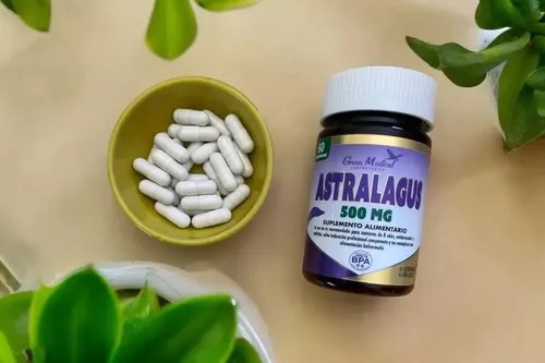 ASTRAGALUS 500 MG X 60 CAP GREEN MEDICAL
